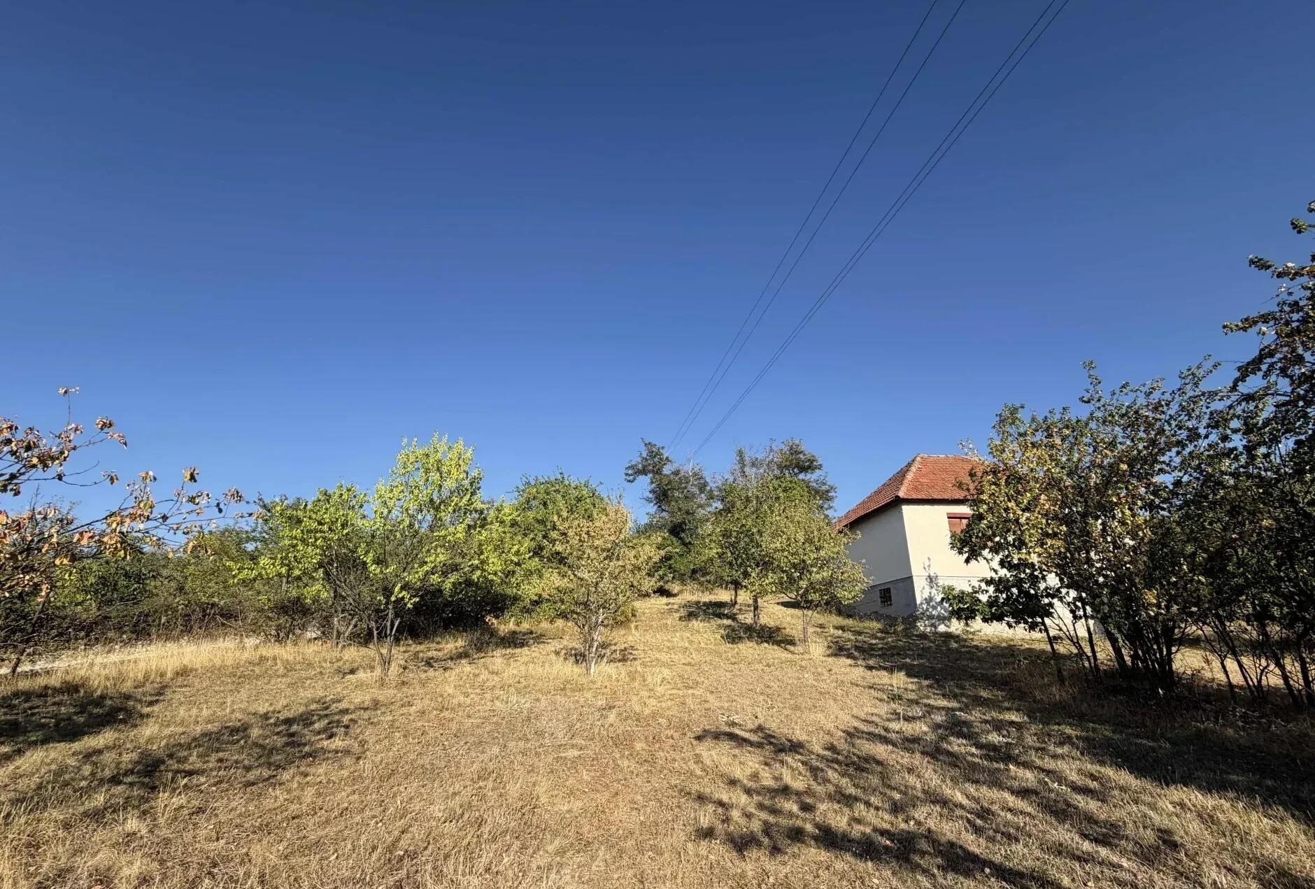 Kralja Petra I, Potočanje, Užice - 3